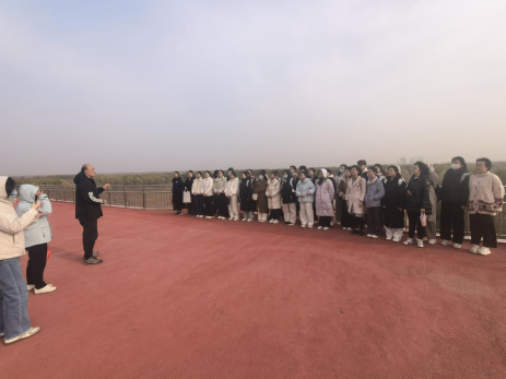 体球网手机比分