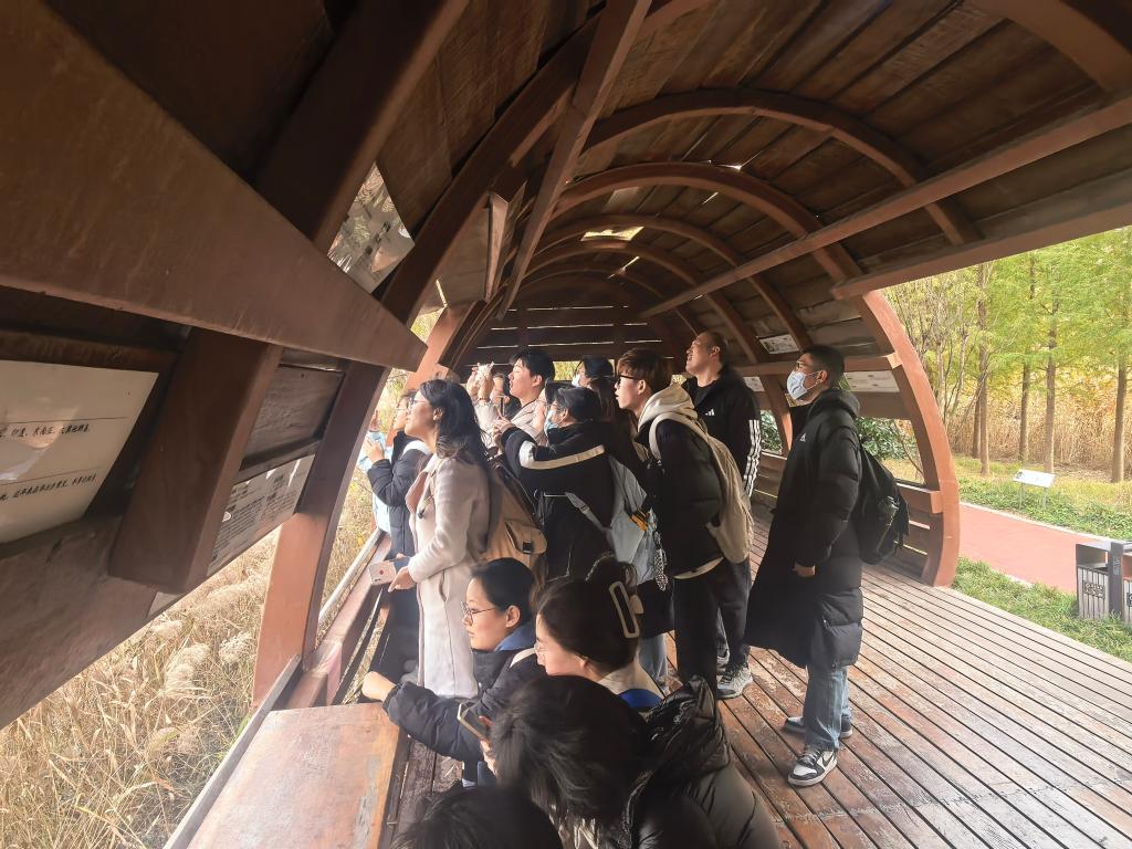 体球网手机比分