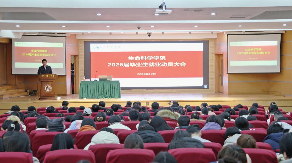 体球网手机比分