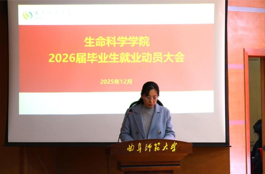 体球网手机比分